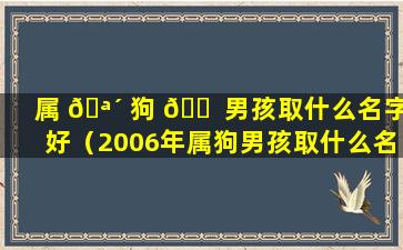 属 🪴 狗 🐠 男孩取什么名字好（2006年属狗男孩取什么名字好）